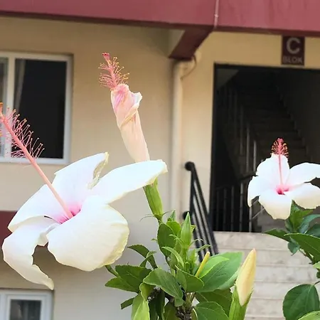 Kiki Homes * 安塔利亚